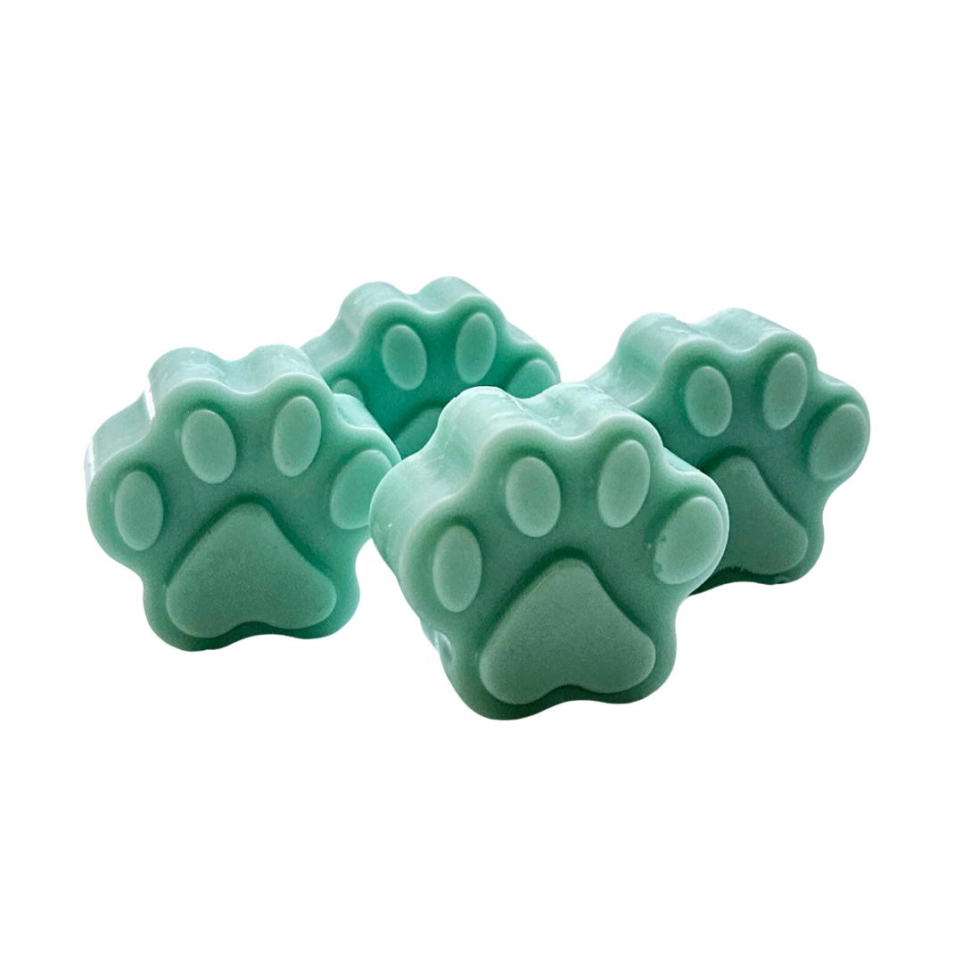 'Smells Dog Gone Bad' Pet Odour Eliminator Wax Melts
