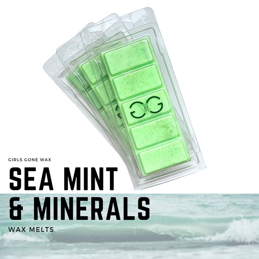 'Sea Mint & Minerals' Wax Melts
