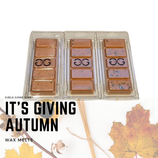 'It's Giving Autumn' Wax Melts