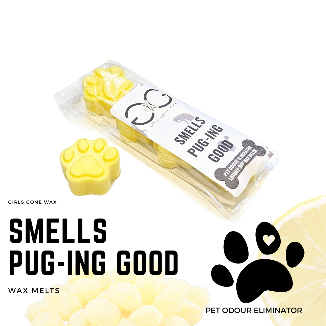 'Smells Pug-Ing Good' Pet Odour Eliminator Wax Melts
