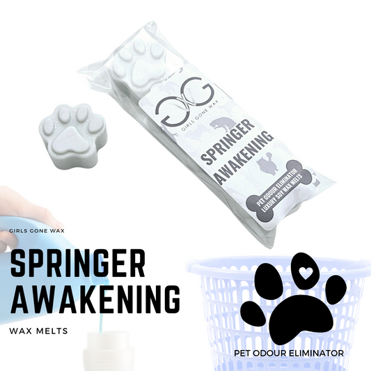 'Springer Awakening' Pet Odour Eliminator Wax Melts