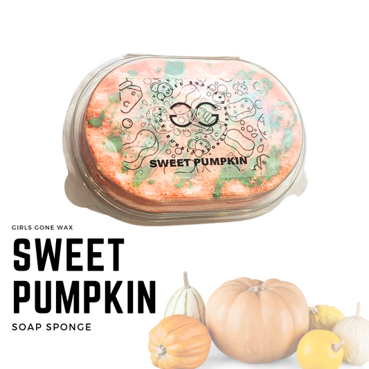 'Sweet Pumpkin' Soap Sponge
